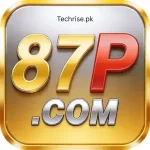 87P Game