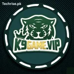 K9 game logo