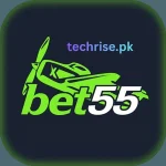 The official app icon for the Bet55 game download gaming platform from techrise.pk, featuring a vibrant neon green airplane design and bold logo on a dark background.