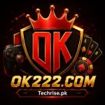 OK222.com logo with crown and card suit icons for the Pakistan earning app